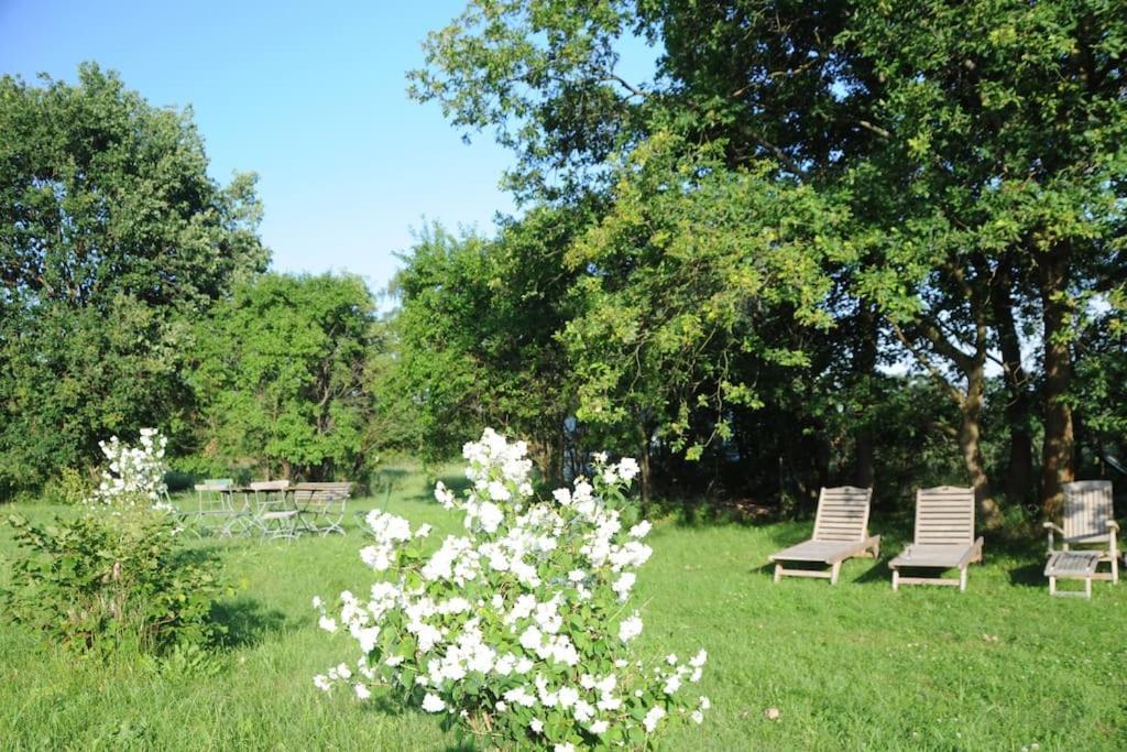 Romantisches Studio Am Waldesrand Mit Gartensauna Schwarz Exterior foto