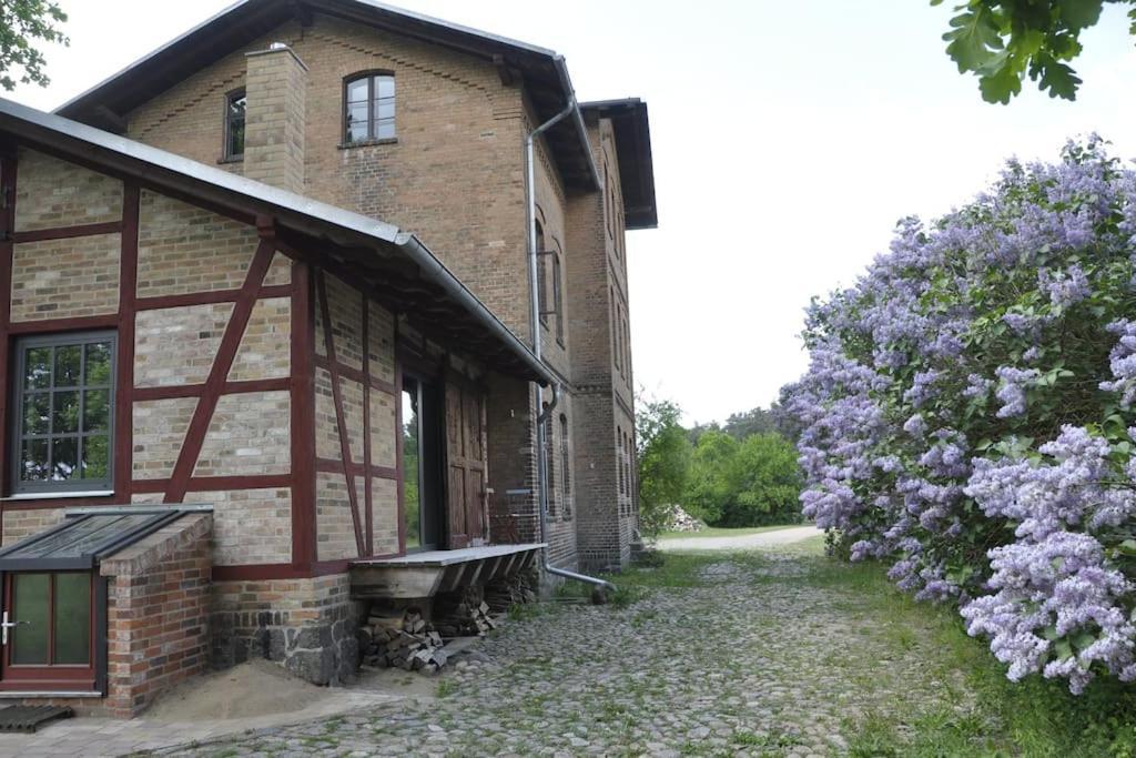 Romantisches Studio Am Waldesrand Mit Gartensauna Schwarz Exterior foto